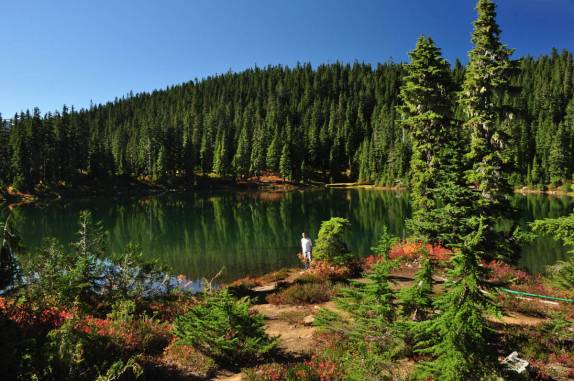 Trilha cheia de maravilhosos lagos no Forbidden Plateau, a parte alta do Strathcona Provincial Park, em Vancouver Island, oeste do Canadá
